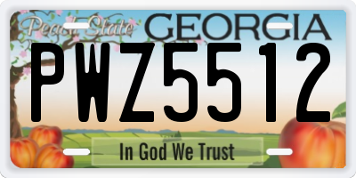GA license plate PWZ5512