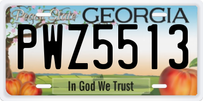 GA license plate PWZ5513