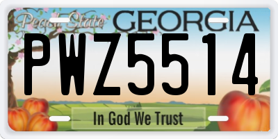 GA license plate PWZ5514