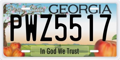 GA license plate PWZ5517