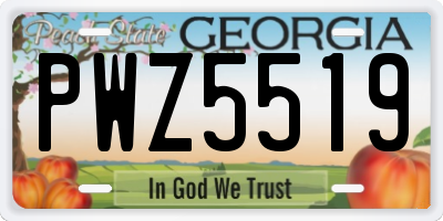 GA license plate PWZ5519