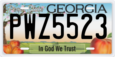 GA license plate PWZ5523