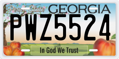 GA license plate PWZ5524