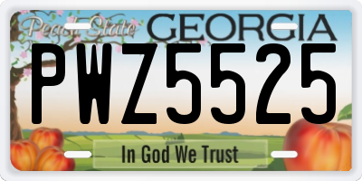 GA license plate PWZ5525
