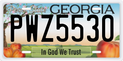 GA license plate PWZ5530