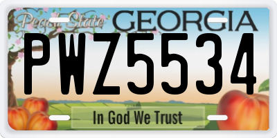 GA license plate PWZ5534