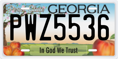 GA license plate PWZ5536