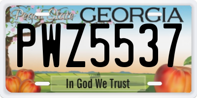 GA license plate PWZ5537