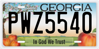 GA license plate PWZ5540