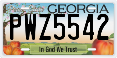 GA license plate PWZ5542
