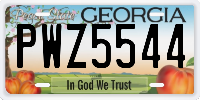 GA license plate PWZ5544