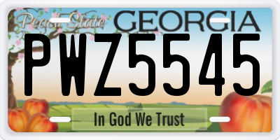GA license plate PWZ5545