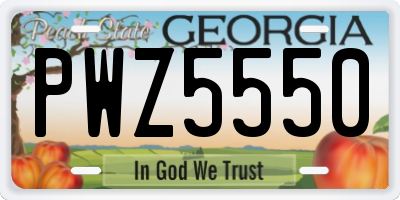 GA license plate PWZ5550