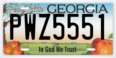 GA license plate PWZ5551