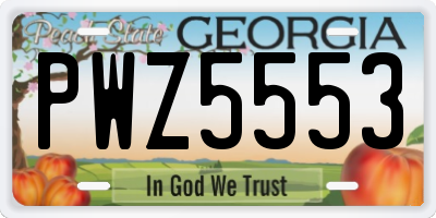 GA license plate PWZ5553