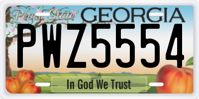 GA license plate PWZ5554