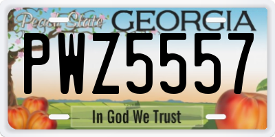 GA license plate PWZ5557