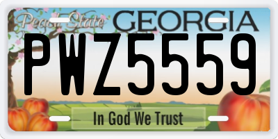 GA license plate PWZ5559