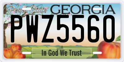 GA license plate PWZ5560