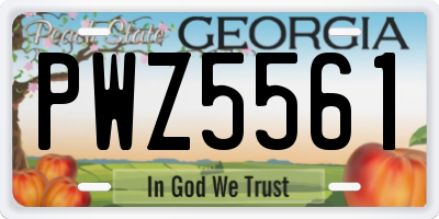 GA license plate PWZ5561