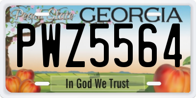 GA license plate PWZ5564