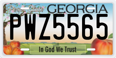 GA license plate PWZ5565