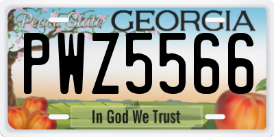 GA license plate PWZ5566