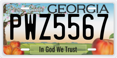 GA license plate PWZ5567