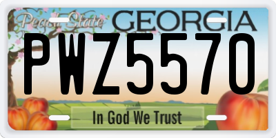 GA license plate PWZ5570