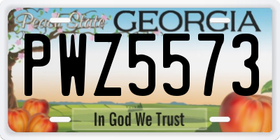 GA license plate PWZ5573