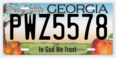 GA license plate PWZ5578