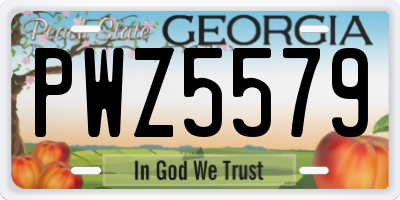 GA license plate PWZ5579