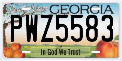 GA license plate PWZ5583