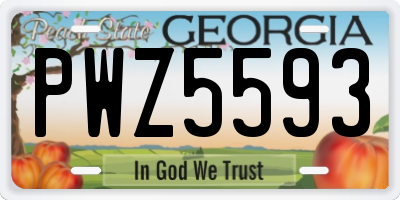 GA license plate PWZ5593