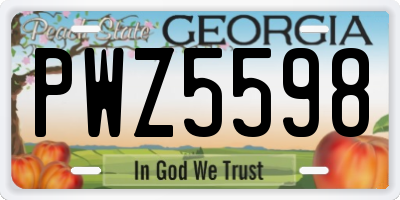 GA license plate PWZ5598