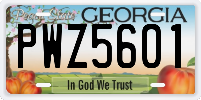 GA license plate PWZ5601