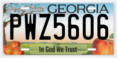 GA license plate PWZ5606