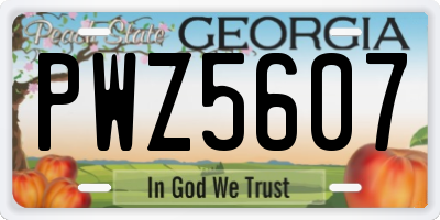 GA license plate PWZ5607