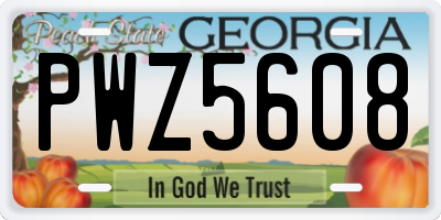 GA license plate PWZ5608