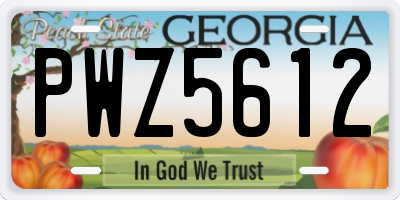 GA license plate PWZ5612