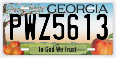GA license plate PWZ5613