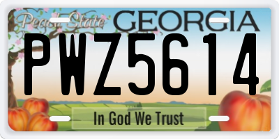 GA license plate PWZ5614