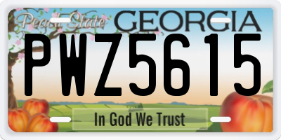 GA license plate PWZ5615