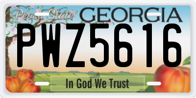 GA license plate PWZ5616