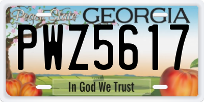 GA license plate PWZ5617