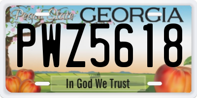 GA license plate PWZ5618