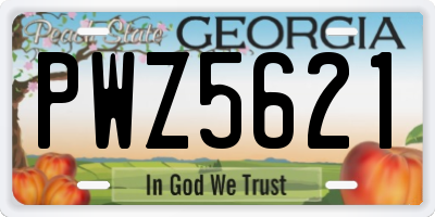 GA license plate PWZ5621