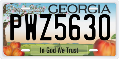 GA license plate PWZ5630