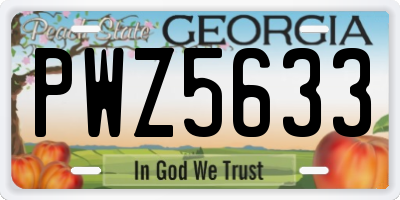 GA license plate PWZ5633