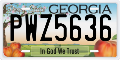 GA license plate PWZ5636